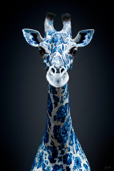 Uniek dierenportret van een giraf