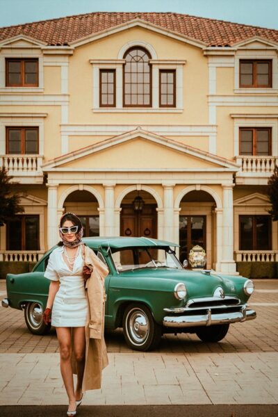 Dynasty-Collection-I