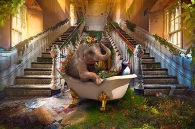 Fantasy-Bath-tub-The-Art-of-Interior-online-gallerij