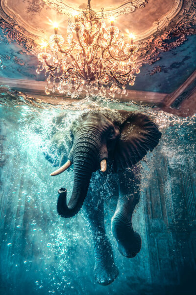 Artistieke fotokunst van een zwemmende olifant