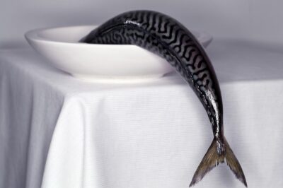 Fotokunst voor de keuken van vissen