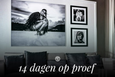 The-art-of-interior-14-dagen-op-proef