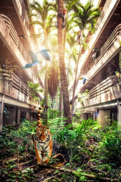 Welcome-to-the-jungle